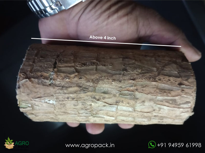 Brazilian-Lucky-Wood4