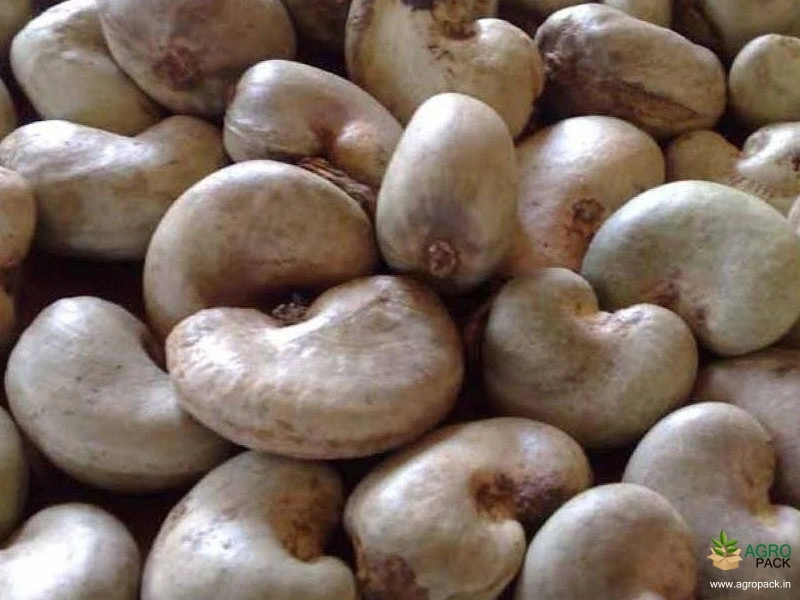 Cashew5