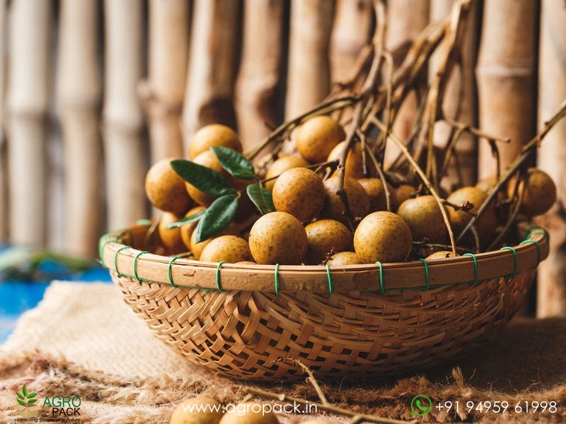 Longan5