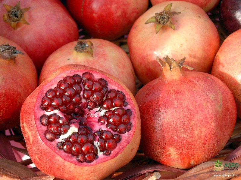 Pomegranate6