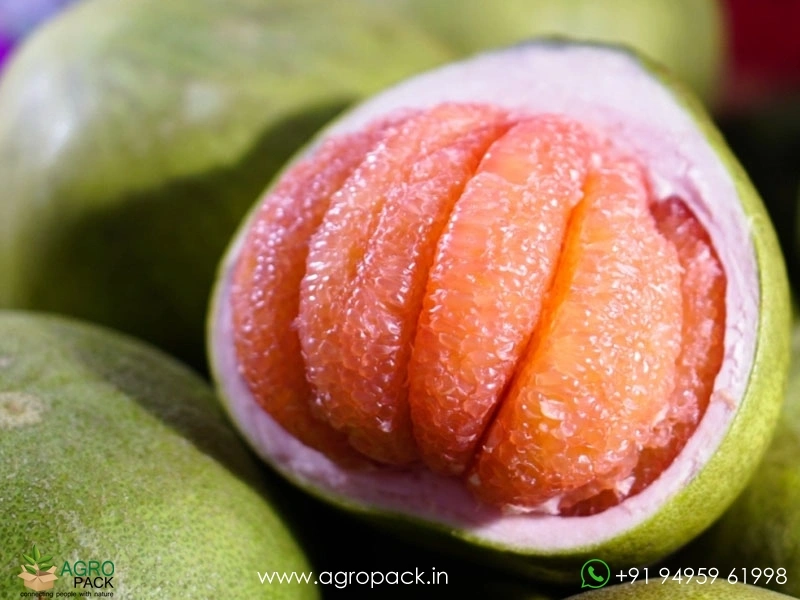 Pomelo4