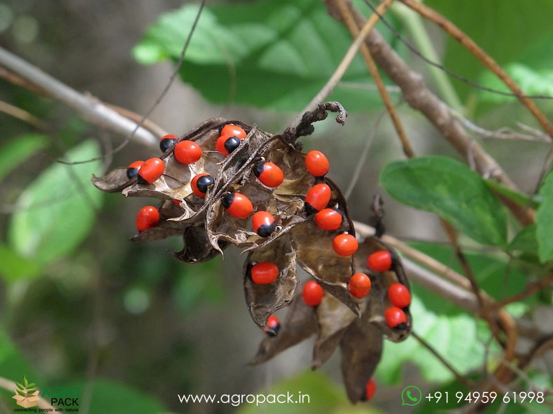 Rosary-Pea1