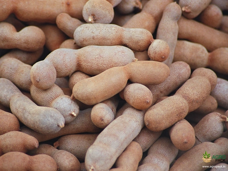 Tamarind1