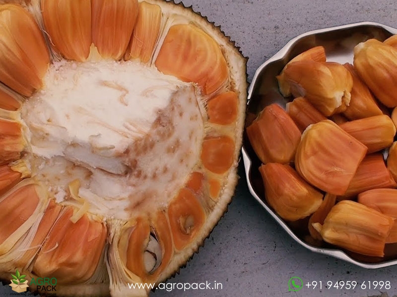 Thailand-Red-Jackfruit4