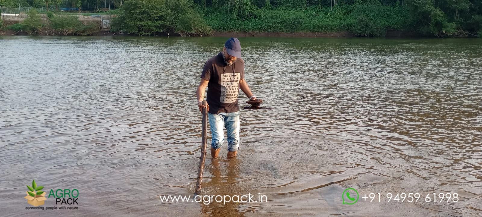 our plant nursery album