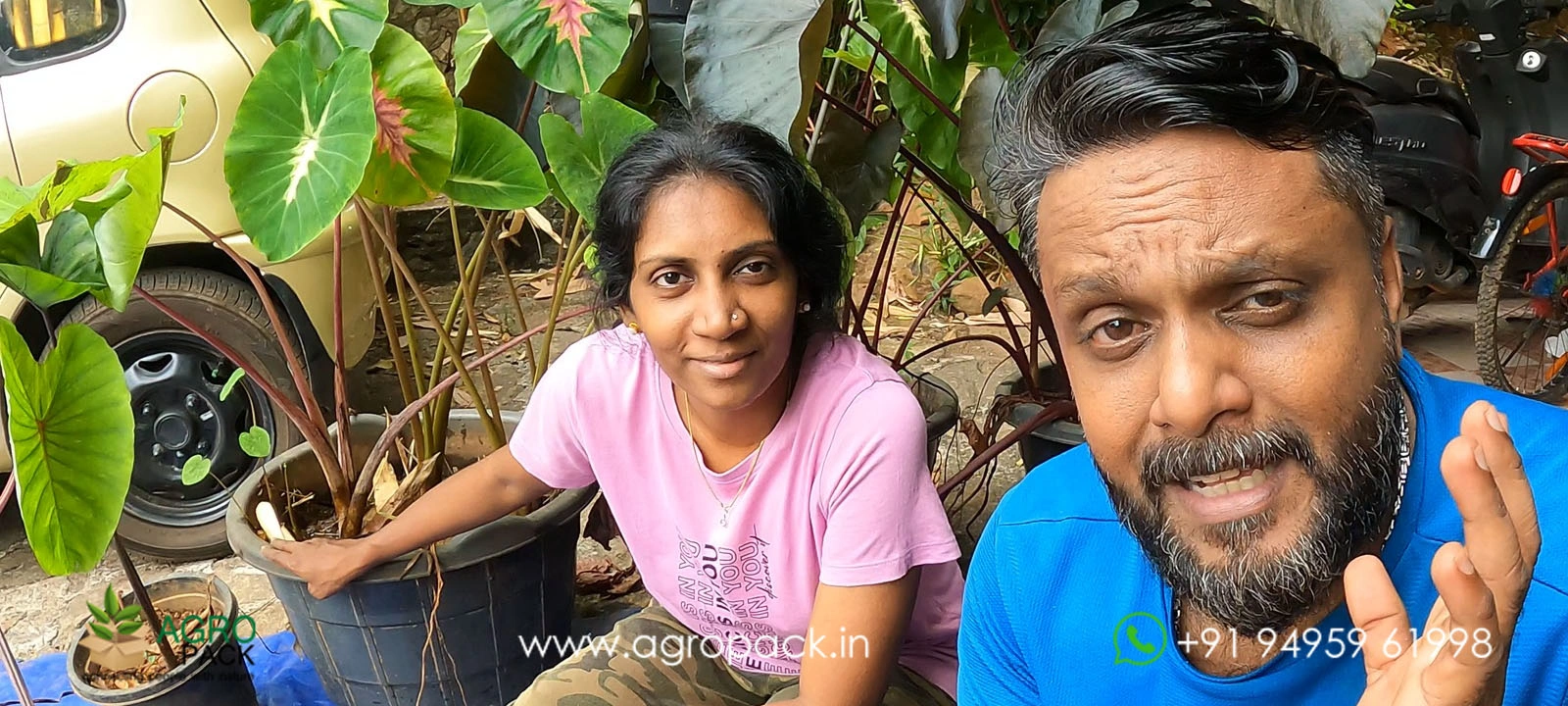our plant nursery album