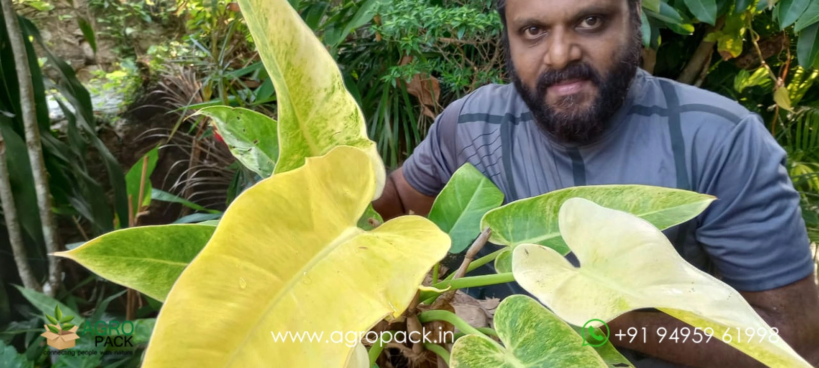 our plant nursery album