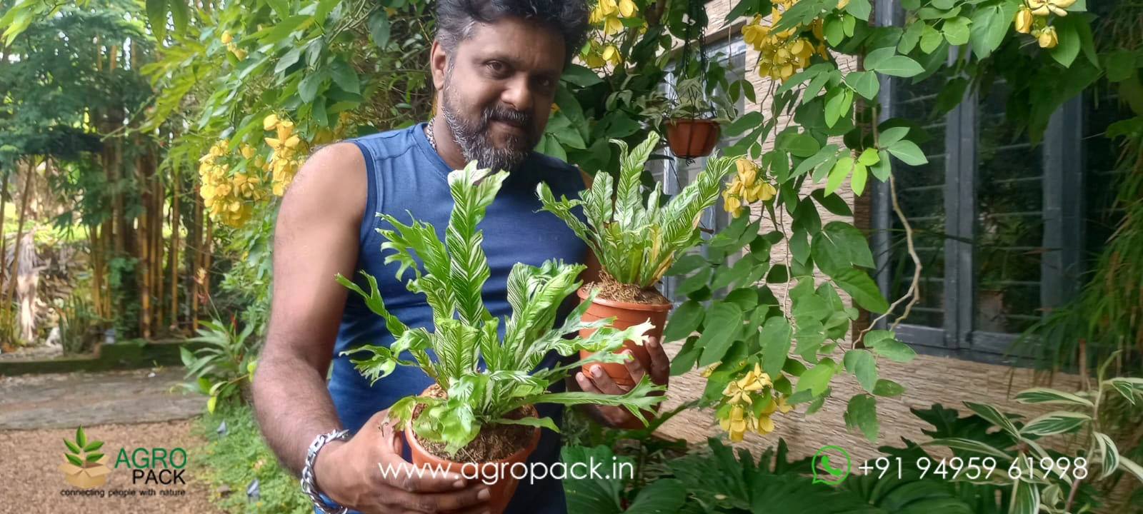 our plant nursery album